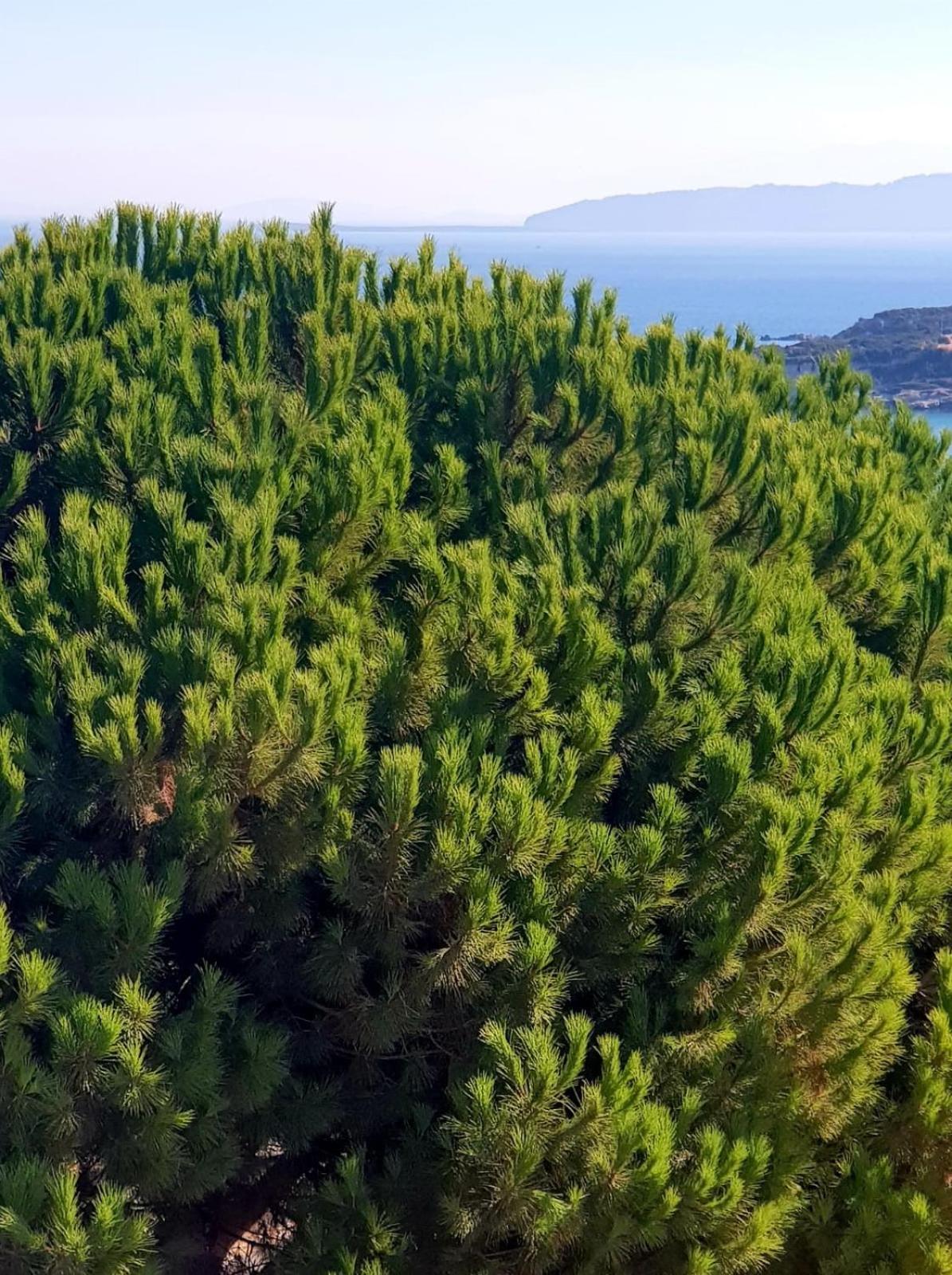North Wind Hotels - Karaburun قرابورون المظهر الخارجي الصورة